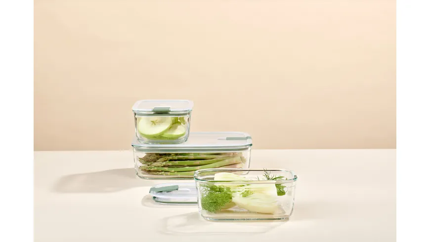 MEPAL Set Glas-Frischhaltedose EasyClip 3-tlg. Nordic sage