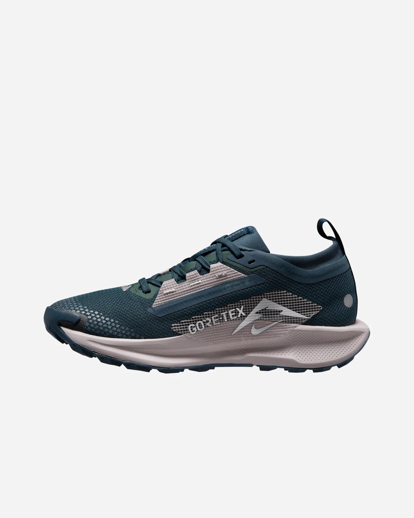 Buty sportowe Nike Pegasus Trail 5 Gore Tex W FQ0912-400