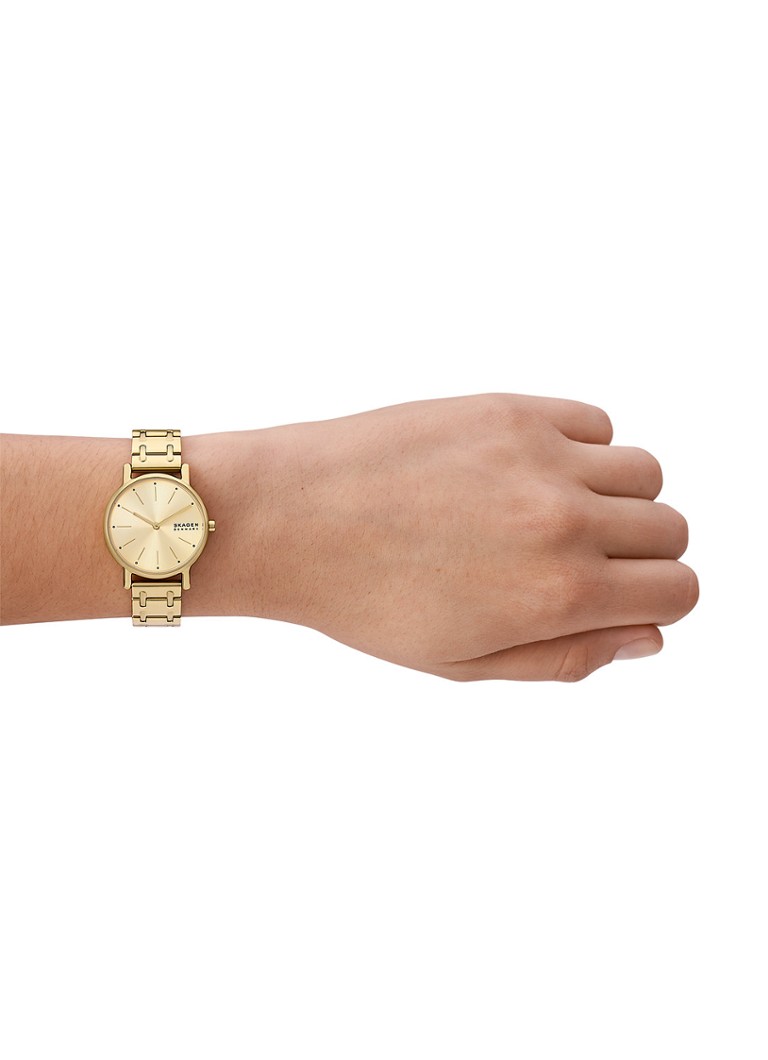 Ceas Skagen Signatur Lille SKW3124