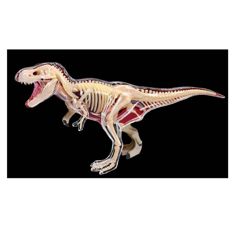 Coffret paléontologue Dinosaure T-Rex à reconstituer