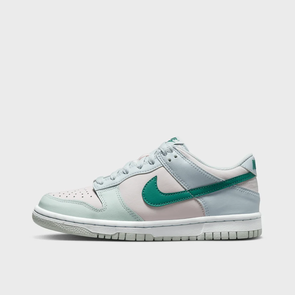Nike Dunk Low GS FD1232-002 / grau
