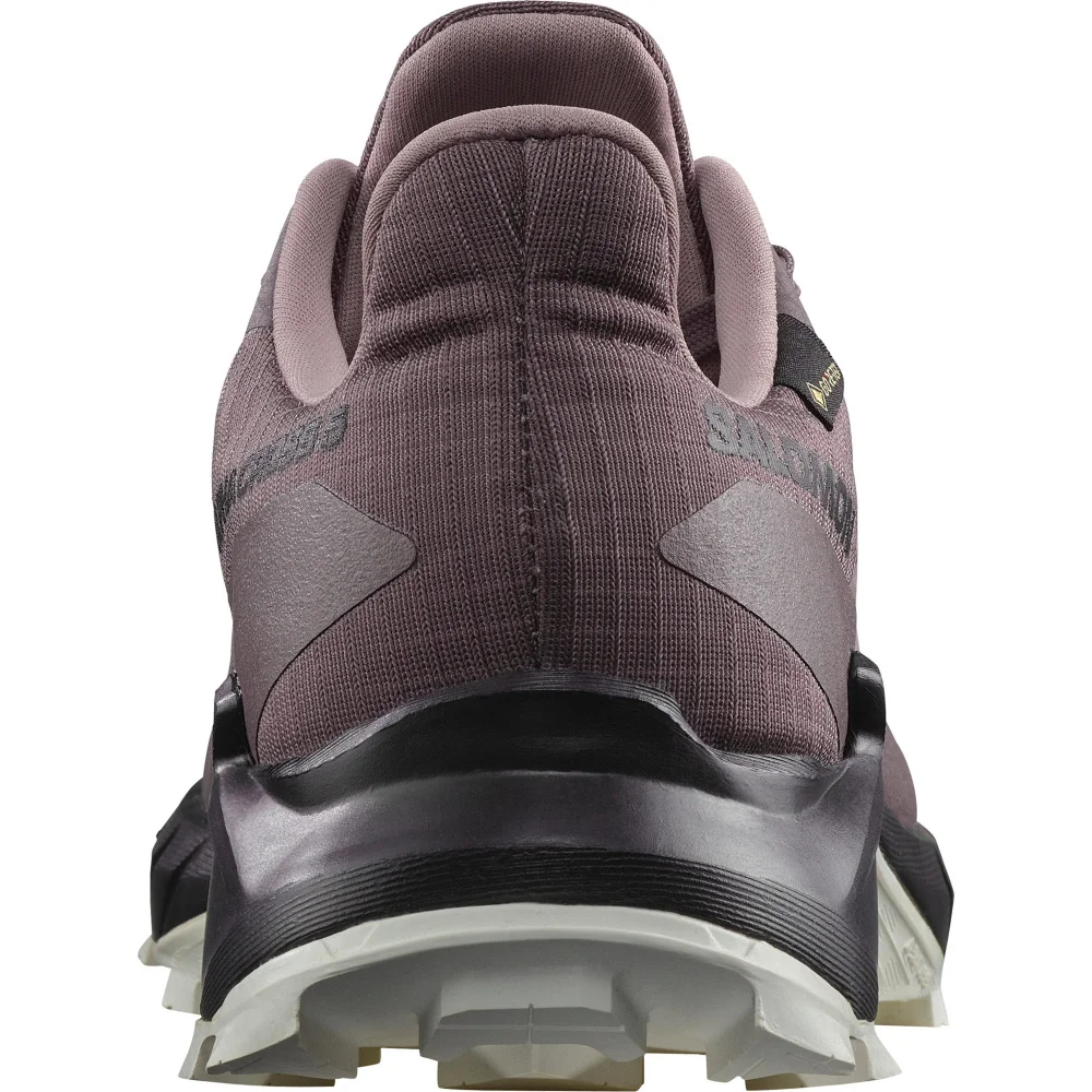 Salomon ALPHACROSS 5 GTX L47311000 / bunt