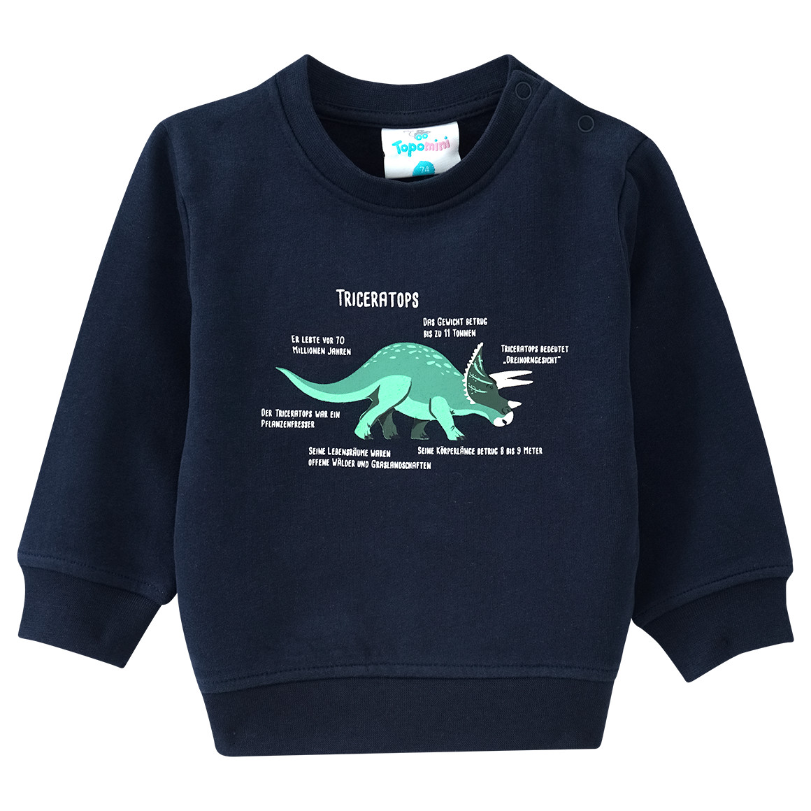 Baby Sweatshirt mit Triceratops