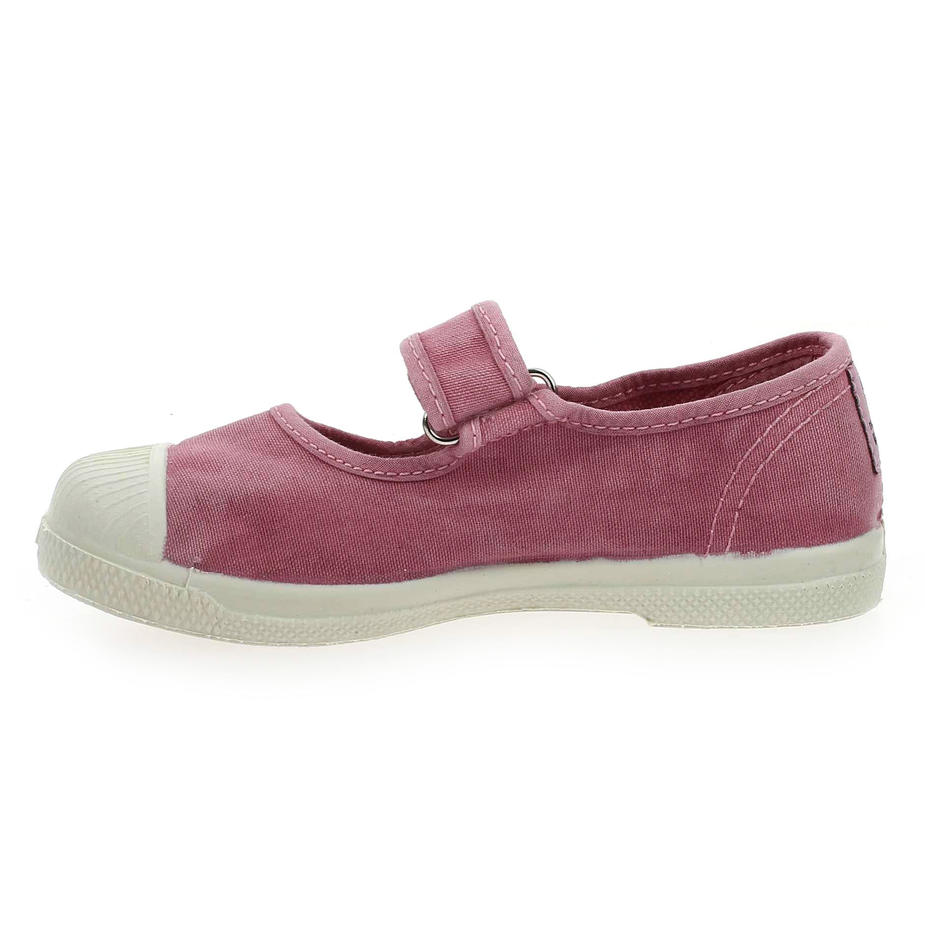Natural world  476 E - Rose