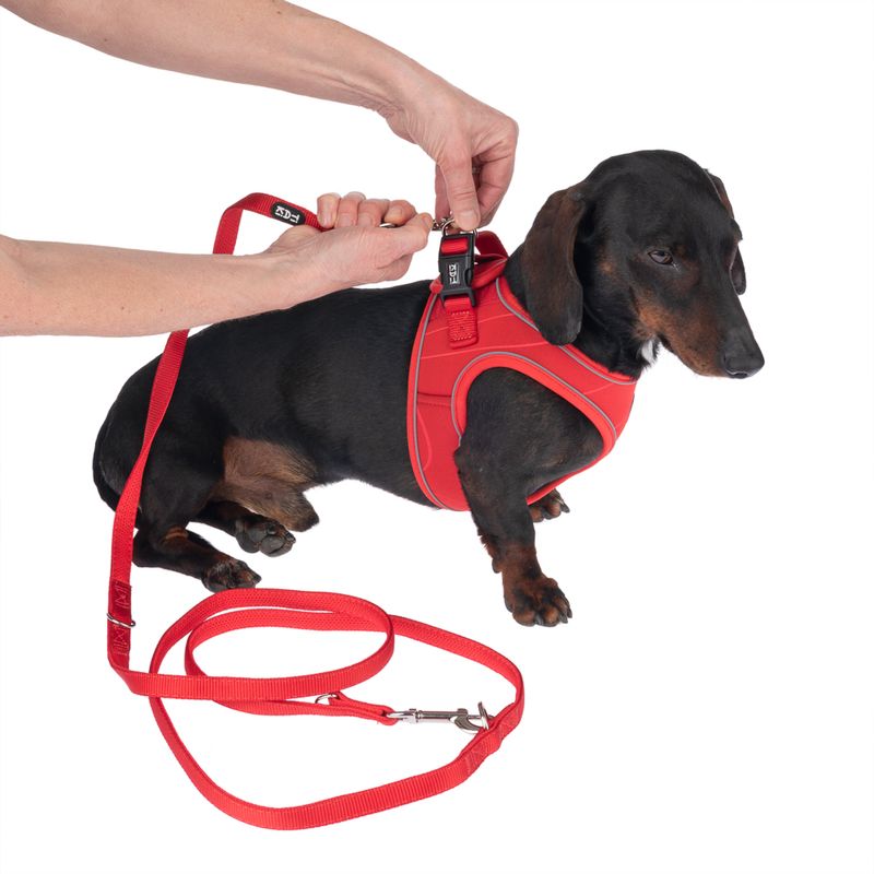 TIAKI Geschirr Wave Vest, rot zu TOP-Preisen