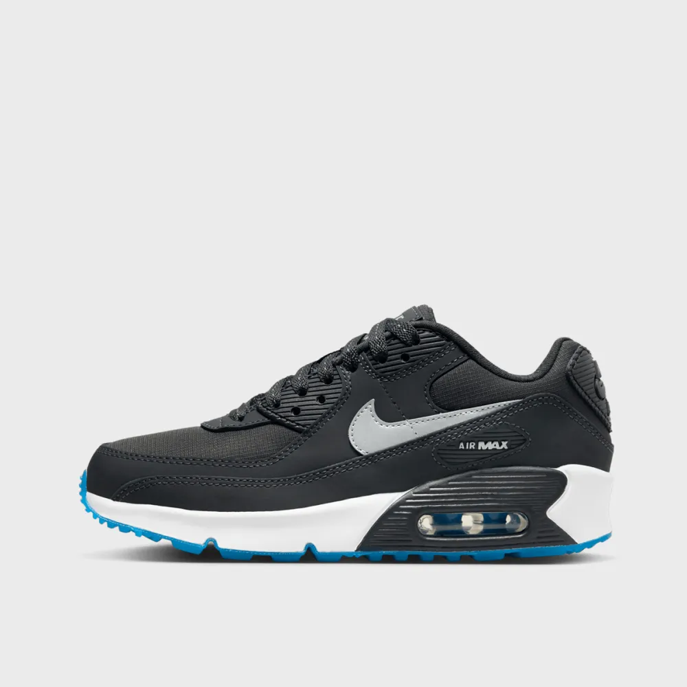Nike Air Max 90 FV0361-001 / grau