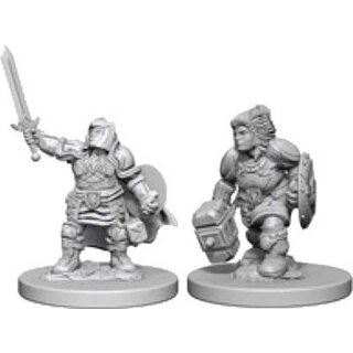 Dwarf Female Paladin: Nolzurs Marvelous Unpainted Minis