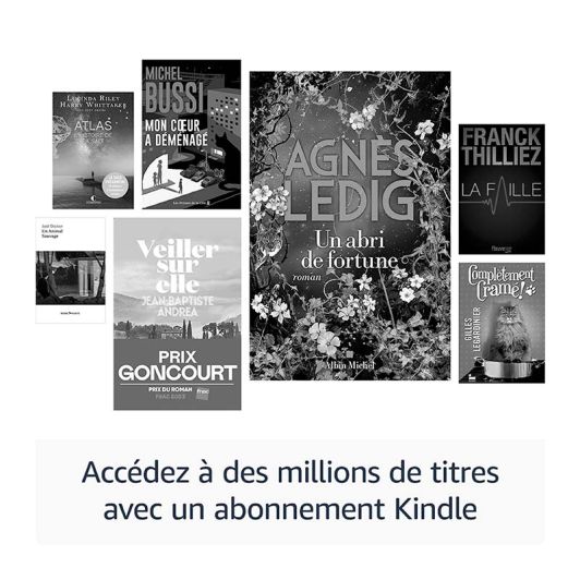 Liseuse électronique AMAZON Kindle Paperwhite ( 2024 ) -16 Go - noir - avec pub - 12e génération.