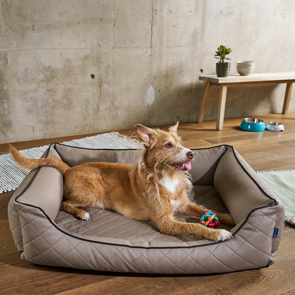 ZooRoyal orthopädisches Hundebett Madson kaufen