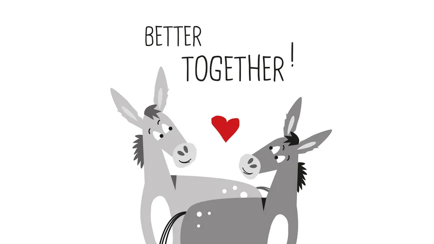 ppd Servietten Donkey Love 33x33cm