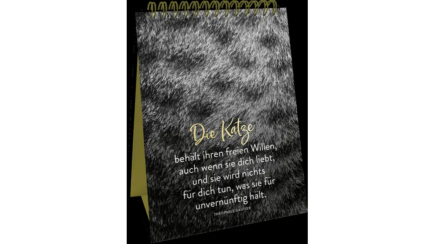 Spiralaufsteller Goldene Katzenweisheiten - Edles Geschenk mit ästhetischen Schwarz-weiß-Fotografien und Katzenweisheiten