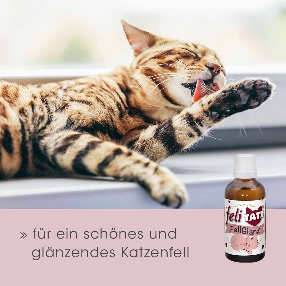 feliTATZ Fell- & Körperpflege feliTATZ FellGlanz