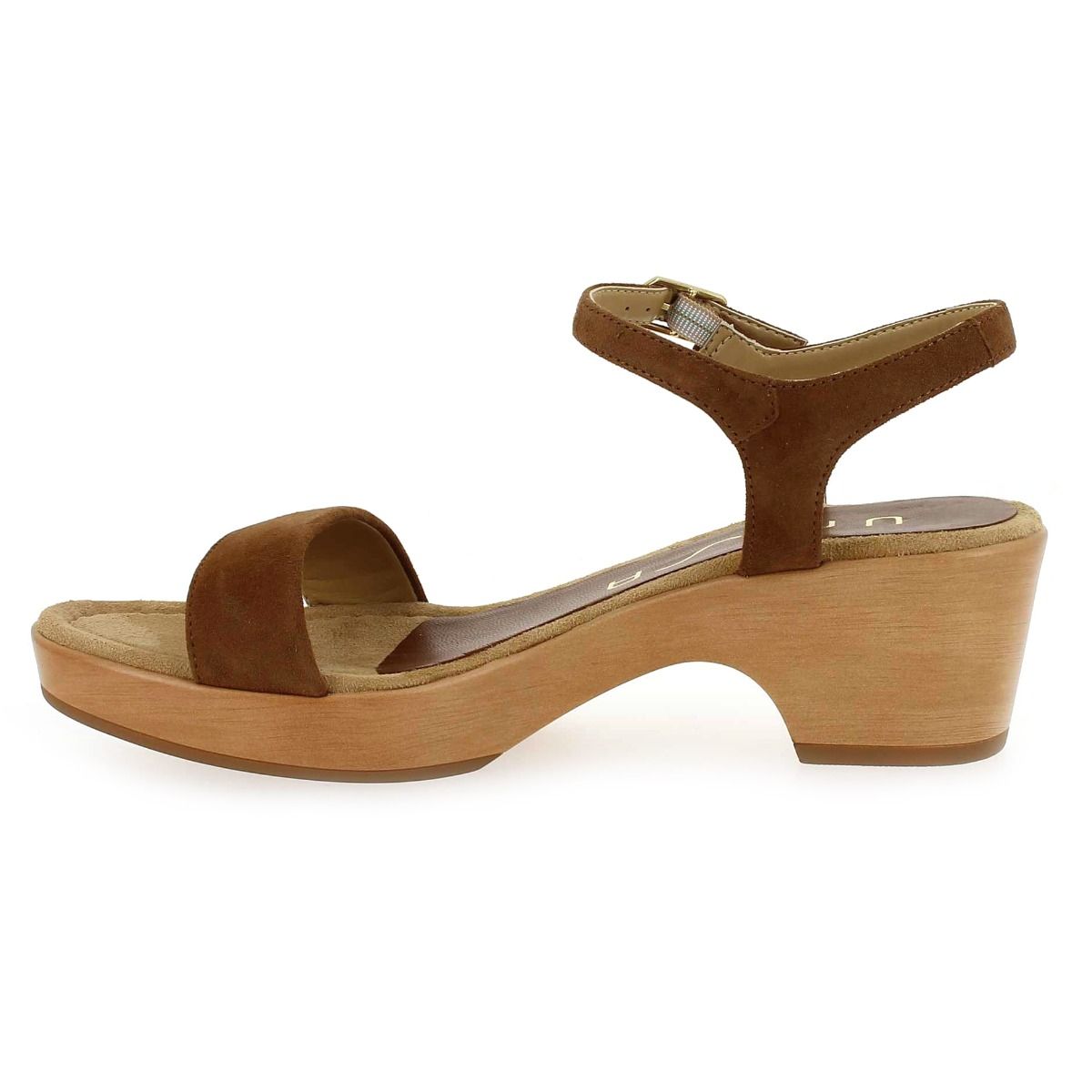 Unisa  IRITA - Camel