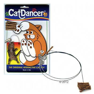 Katzenangel Cat Dancer