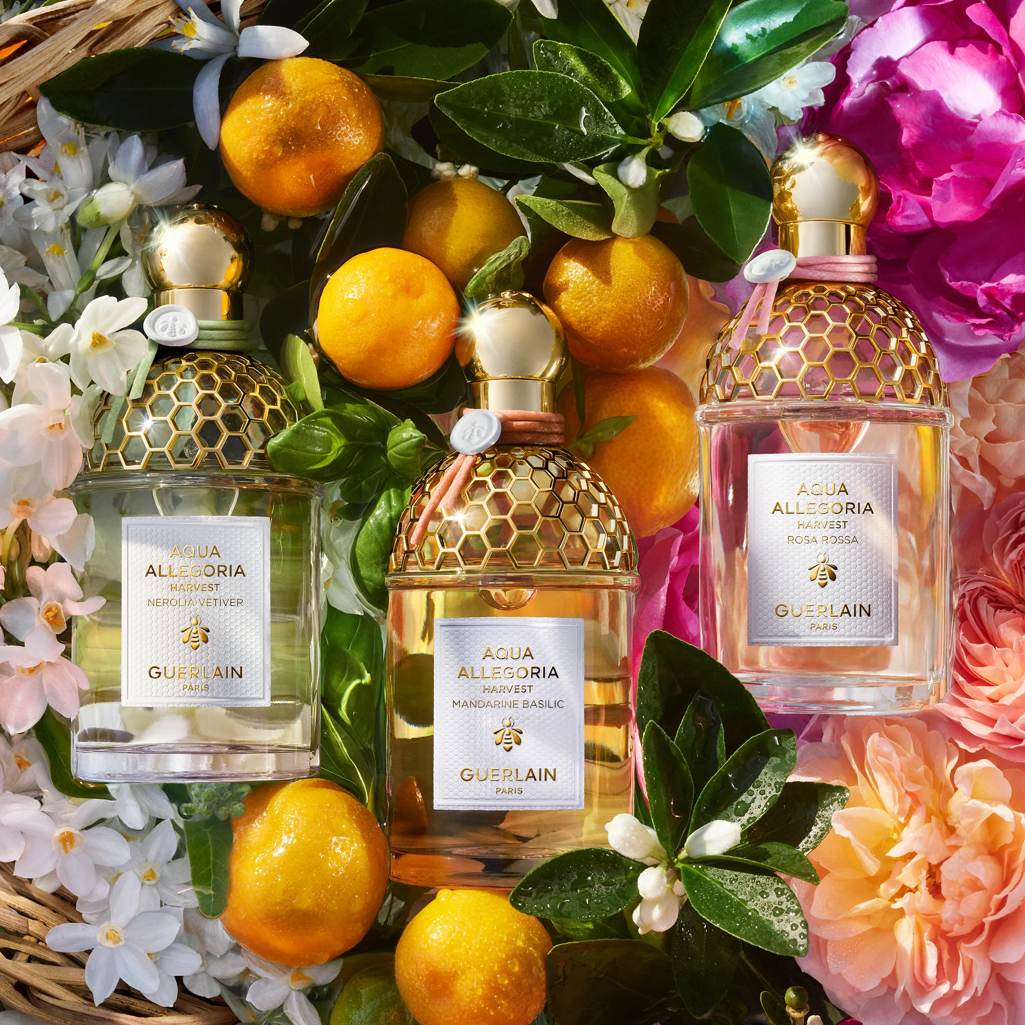 Aqua Allegoria Mandarine Basilic Harvest - Eau de Toilette