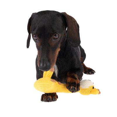 TIAKI Gestricktes Hundespielzeug Giraffe