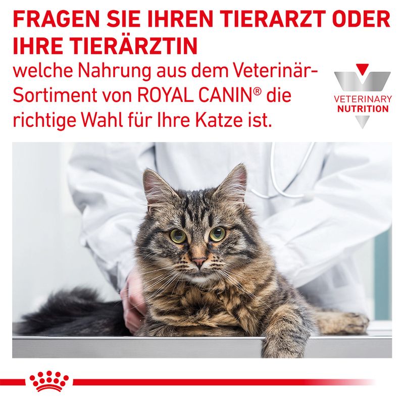 Royal Canin Veterinary Feline Gastrointestinal Hairball | bitiba