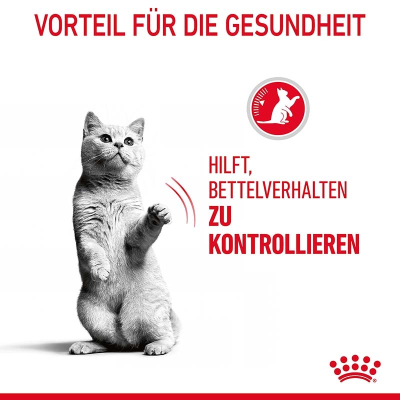 ROYAL CANIN Trockenfutter ROYAL CANIN Appetite Control Care 10 kg