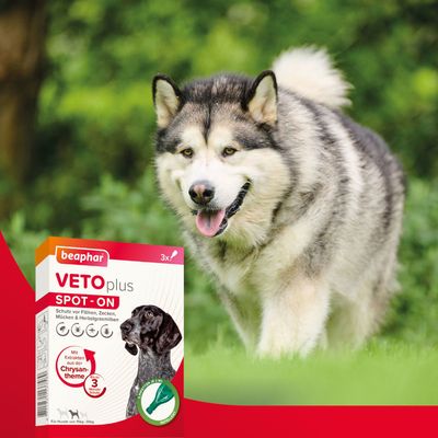 beaphar VETOplus SPOT-ON für mittelgroße Hunde