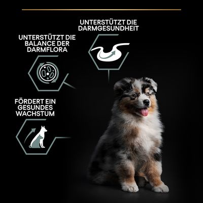 PURINA PRO PLAN Medium Puppy Lamm & Reis Sensitive Digestion