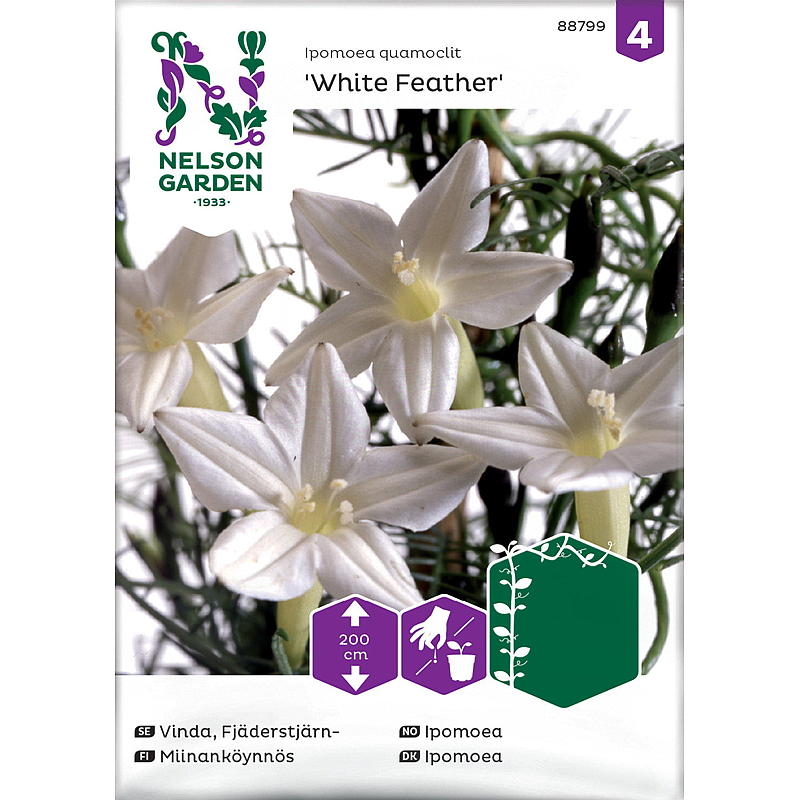 Nelson garden Frø Ipomoea White Feather