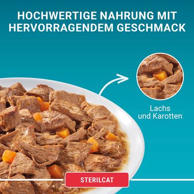 PURINA ONE SterilCat
