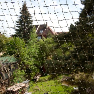 Katzenschutznetz mit Drahtverstärkung