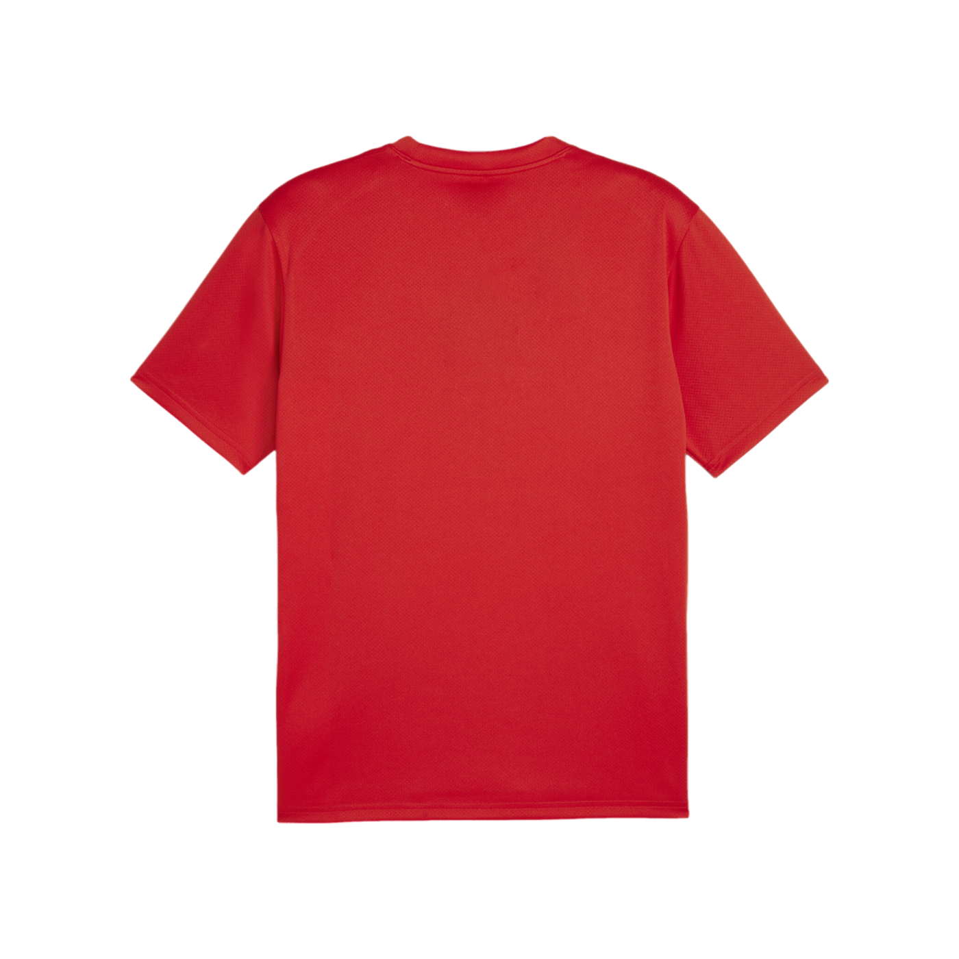 PUMA teamGOAL Trikot Rot F01