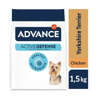Advance Yorkshire Terrier Adult