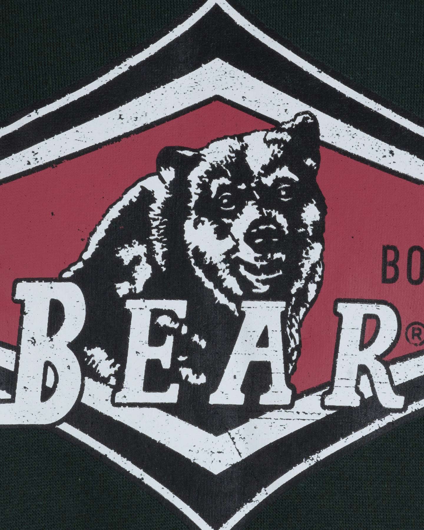Lyže Pile Sci Bear M BM705-050