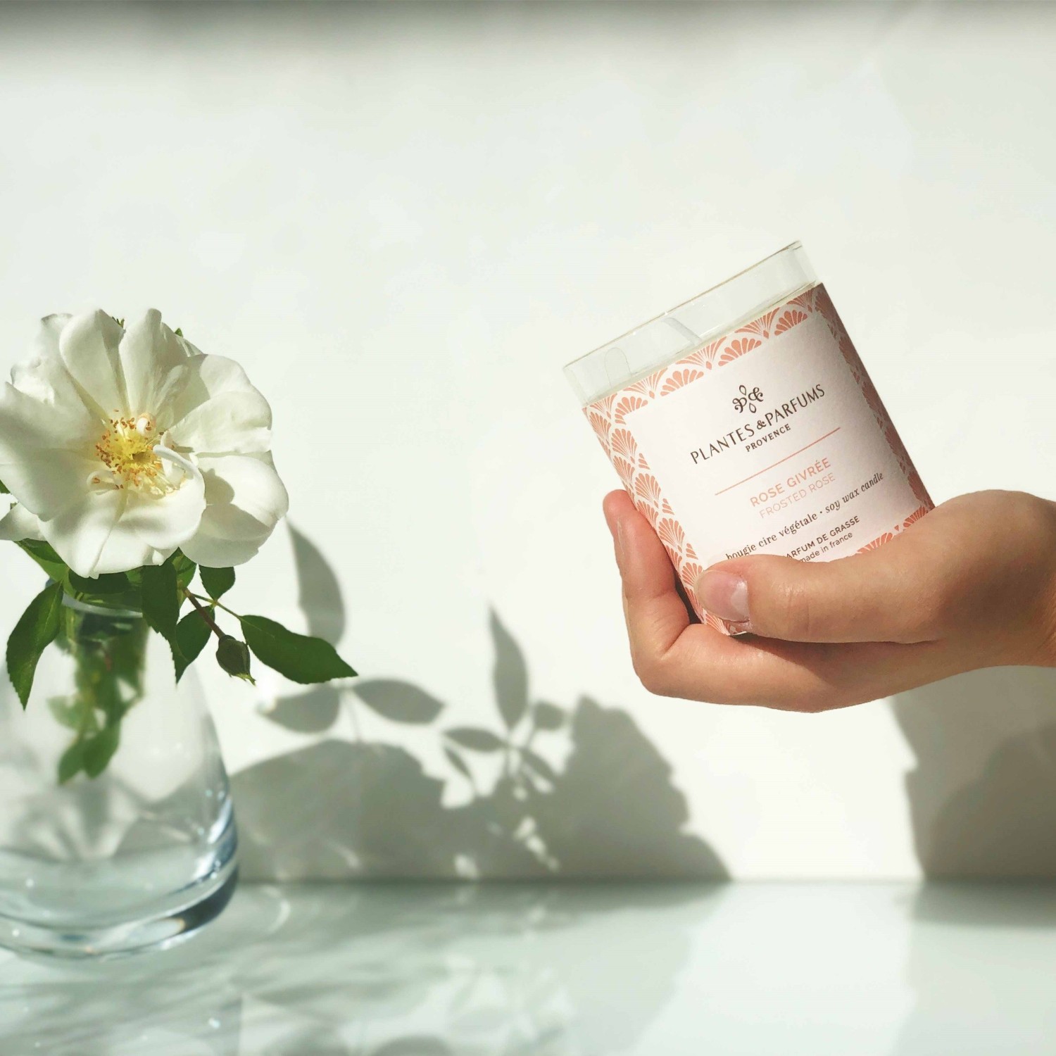 Planten & Parfums Frosted Rose
