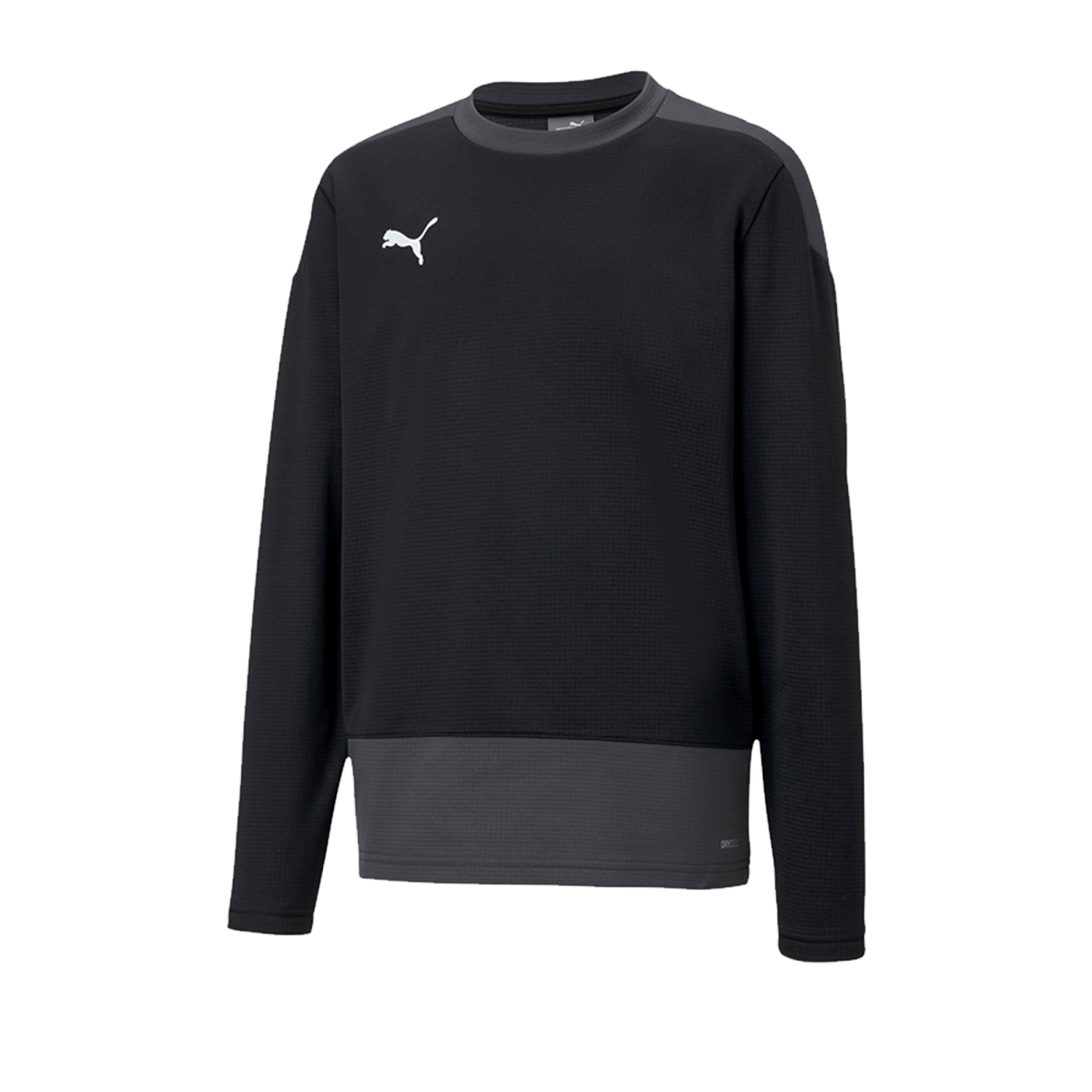 PUMA teamGOAL 23 Training Sweatshirt Kids F03