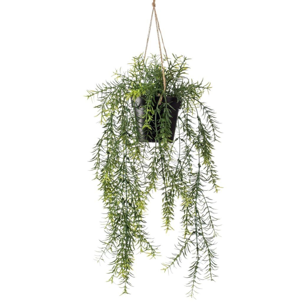 Kunstrasen Kunstpflanze Asparagus Busch Hängend im Topf 50 cm, Emerald, Höhe: 50 mm