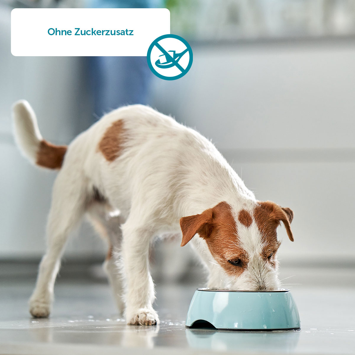 ZooRoyal Entenbrust in Stückchen günstig kaufen