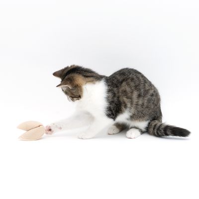 TIAKI Glückskekse mit Katzenminze