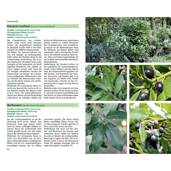 MADEIRAS FLORA - Ratgeber