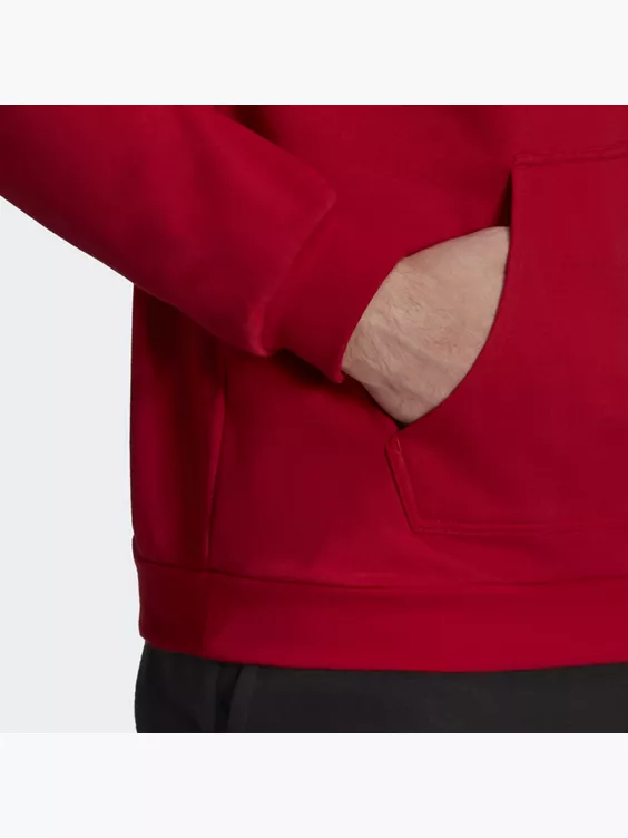 adidas Entrada 22 Sweat Hoodie