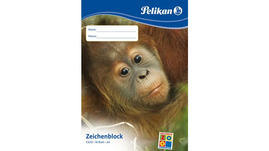 Pelikan Zeichenblock A4 sortiert 10 Blatt 100g/qm