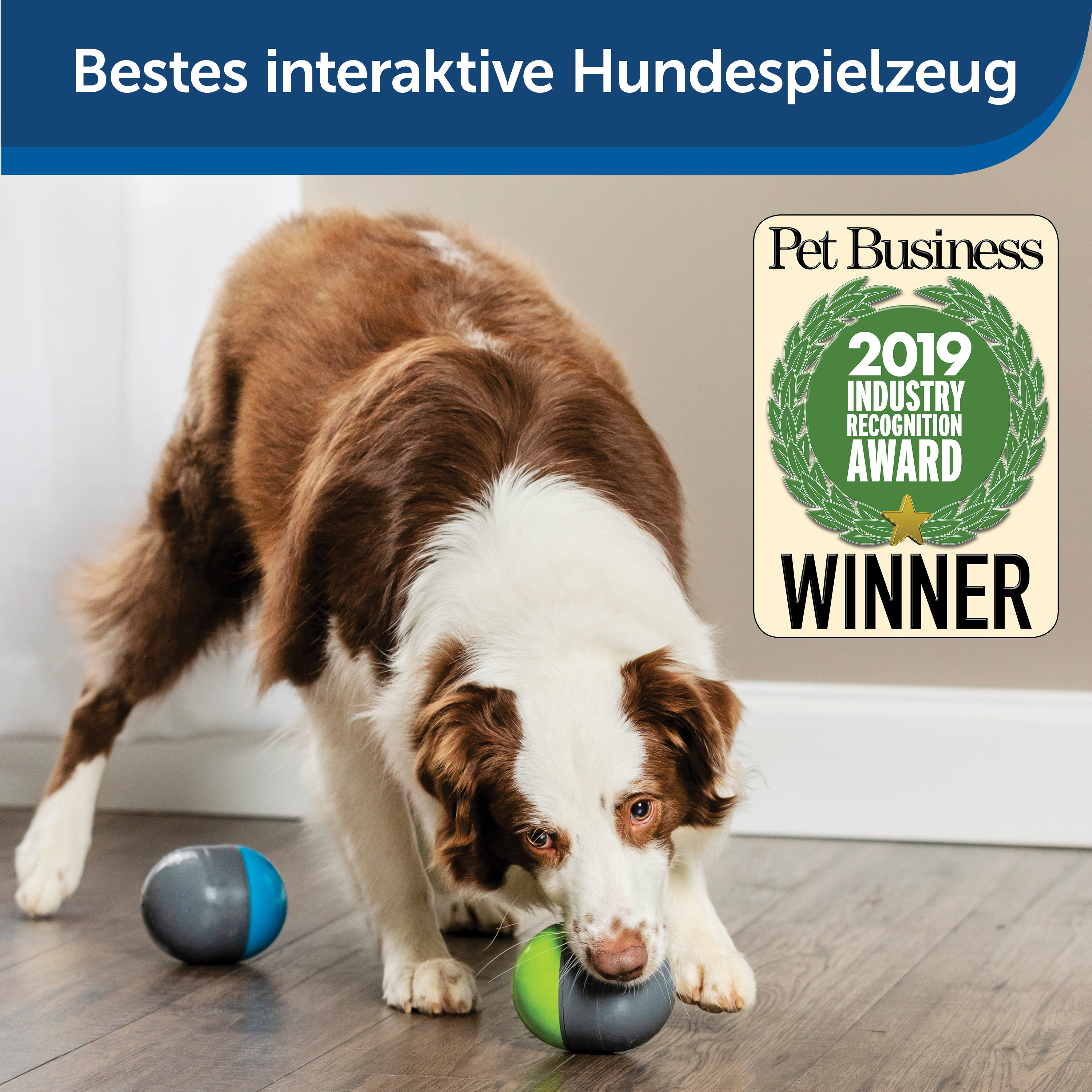 PetSafe Intelligenzspielzeug PetSafe Elektronisches Hundespielzeug Ricochet