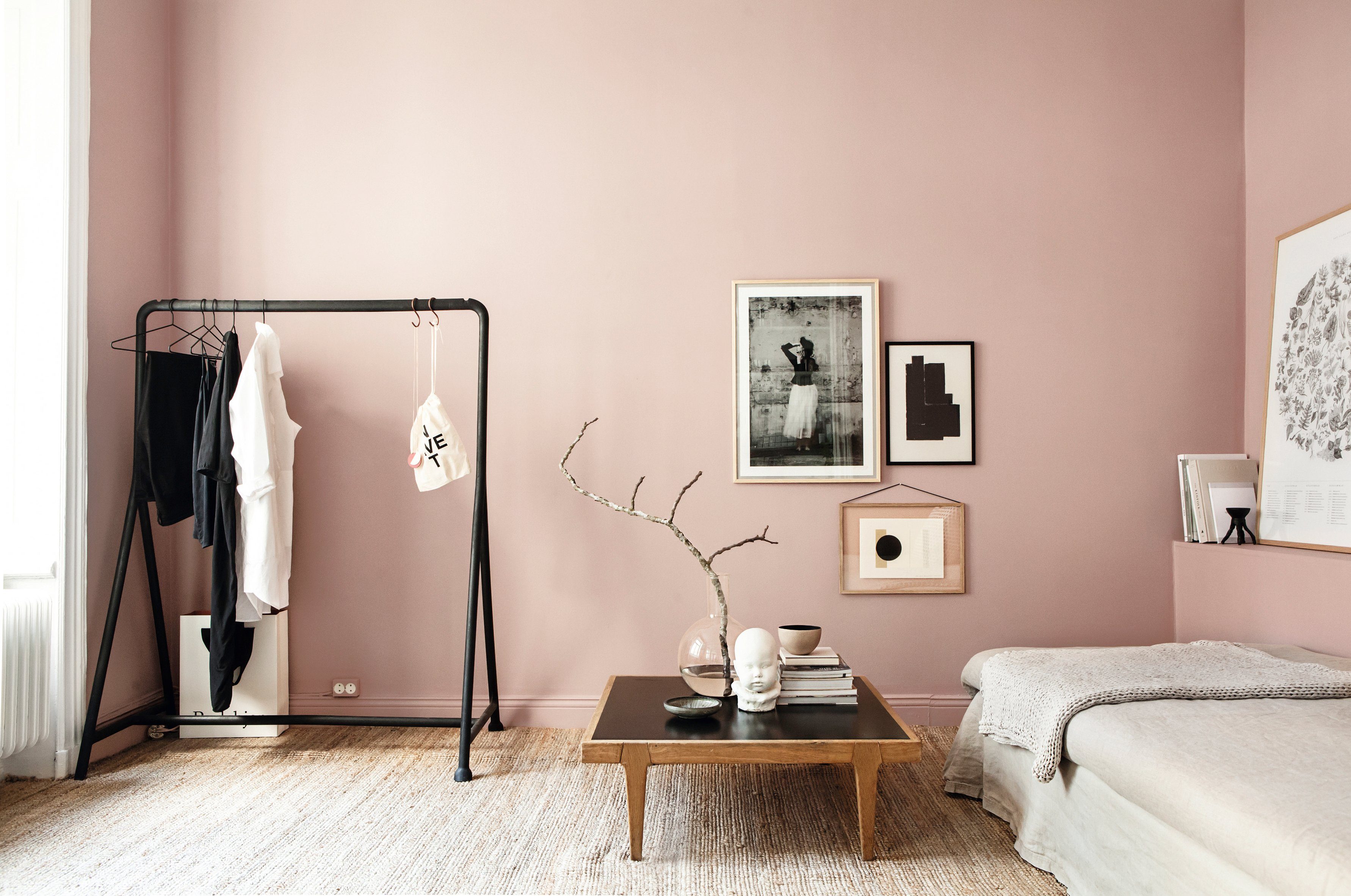 SCHÖNER WOHNEN FARBE Wand- und Deckenfarbe Trendfarbe, matt, Hortensie, hochdeckende Wandfarbe - für Allergiker geeignet