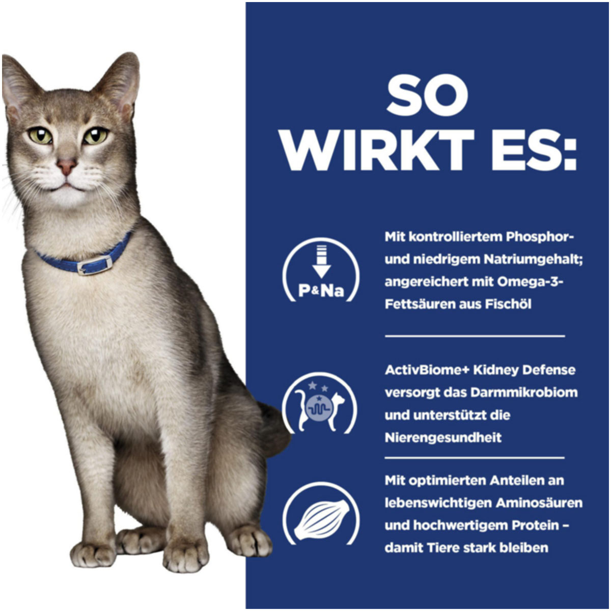 Hill's Prescription Diet k/d mit Thunfisch 3kg