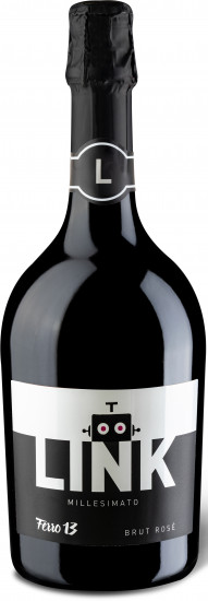 2022 LINK Modena DOC brut - Ferro 13
