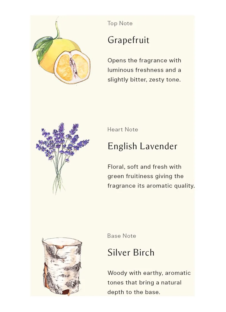 Jo Malone London  Silver Brich & Lavender Cologne