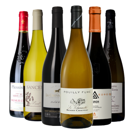 PACK TOP MEILLEURES VENTES LOIRE