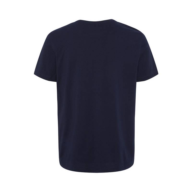 Chiemsee T-Shirt T-Shirt Herren