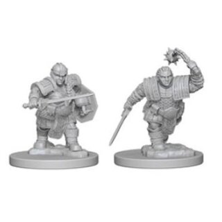 Dwarf Female Fighter: D&D Nolzurs Marvelous Unpainted Minis