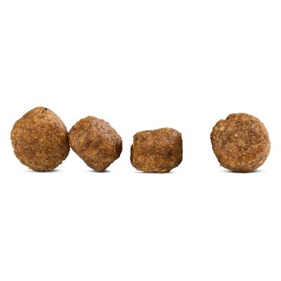 Happy Dog fit & vital Mini Adult