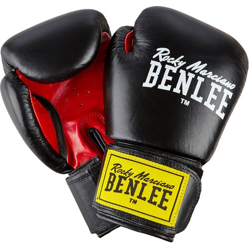 BOXHANDSCHUHE AUS LEDER FIGHTER