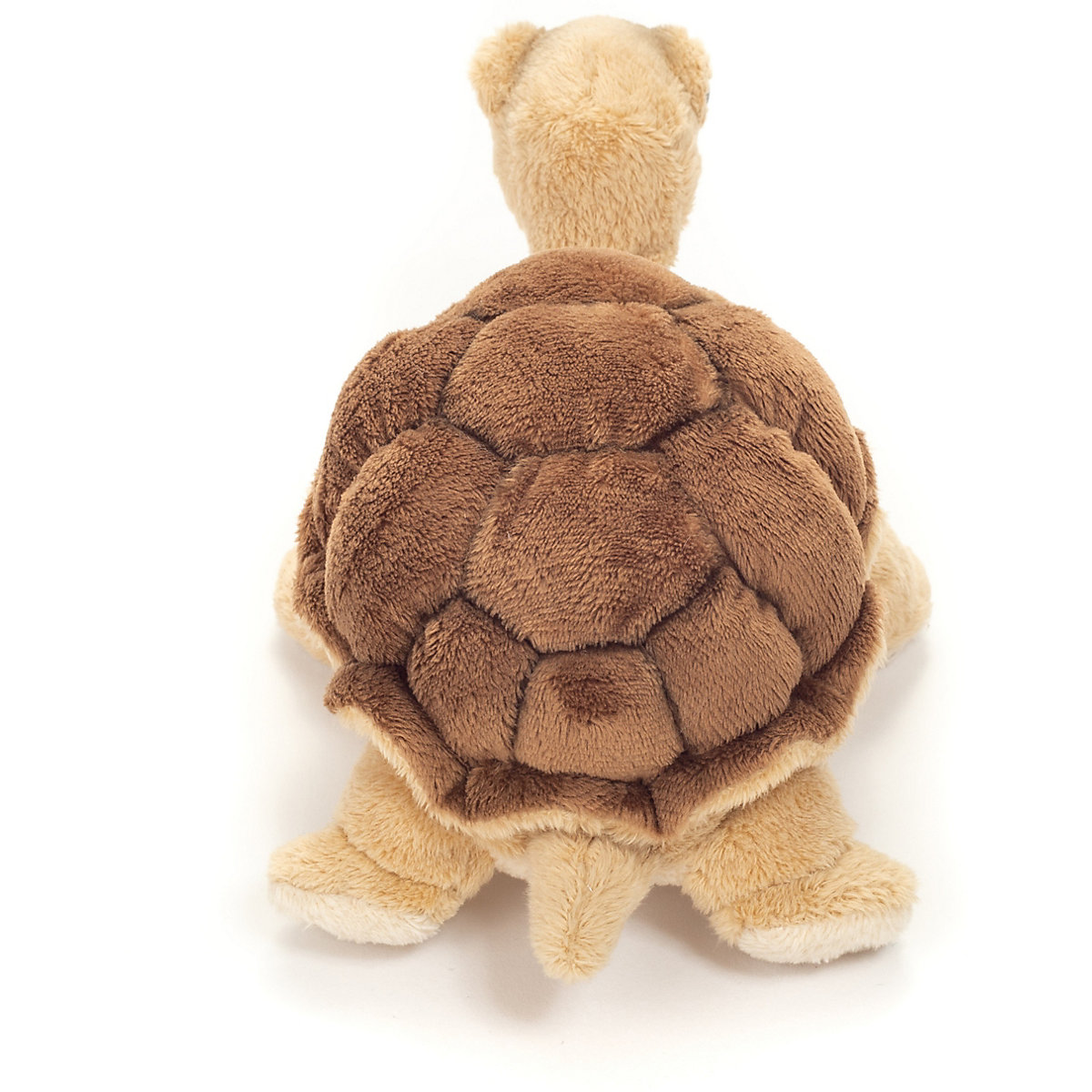 Schildkröte 20 cm