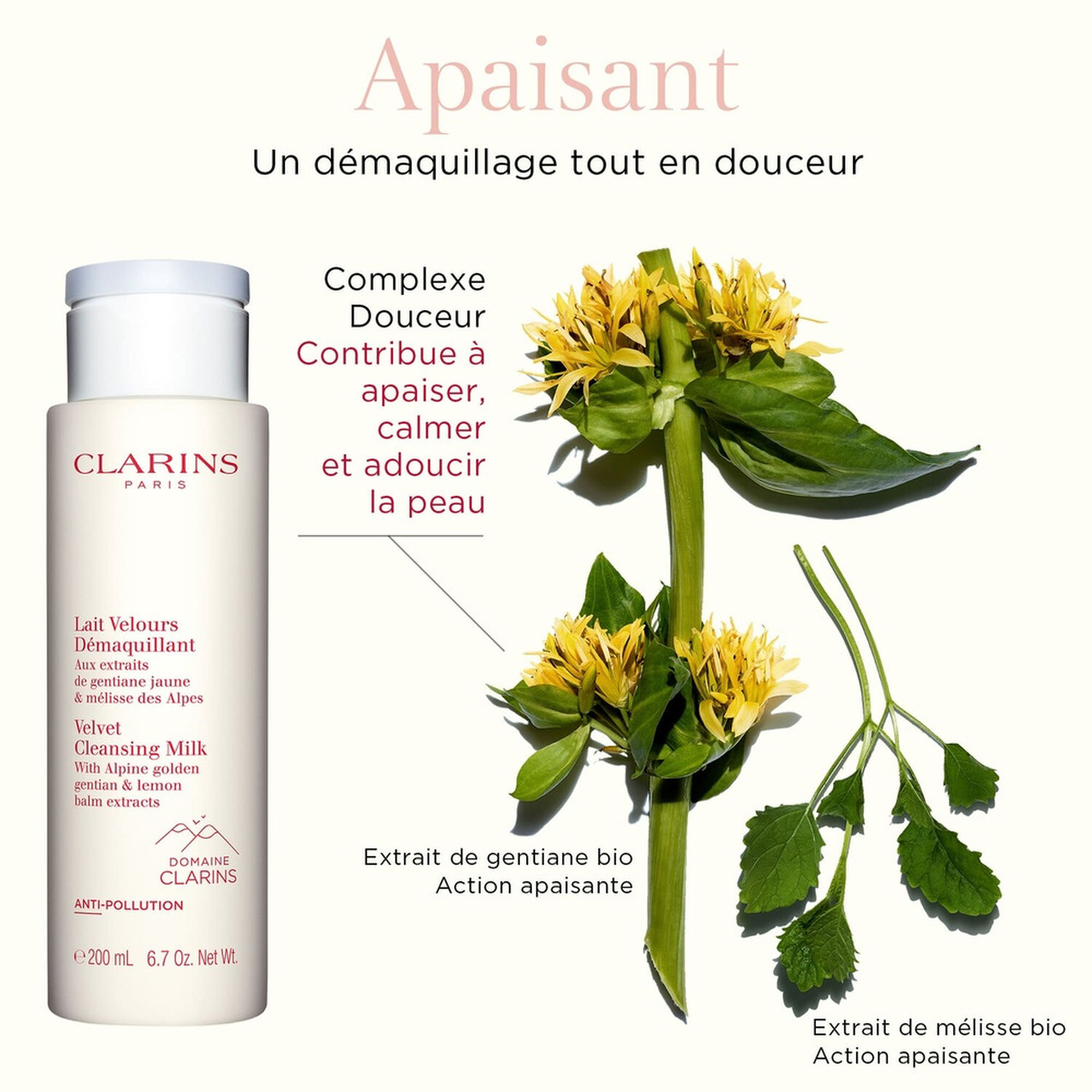 Clarins Lait Velours Démaquillant Onctueux et Non Gras